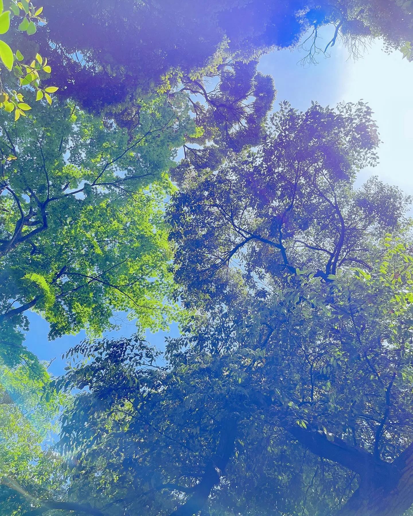 登山🌿